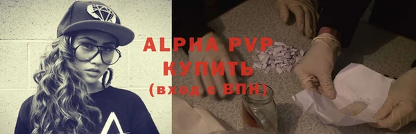 spice Богородицк