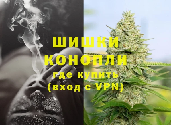индика Бежецк