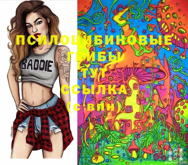 винт Богданович