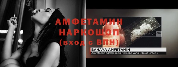 spice Богородицк