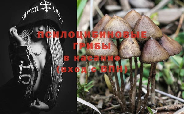 spice Богородицк