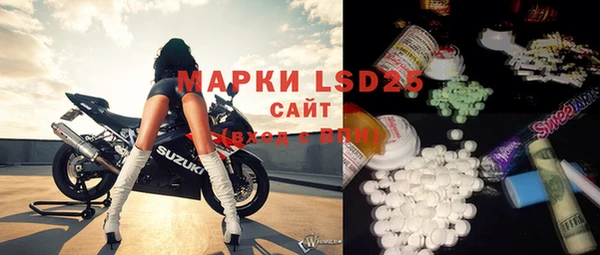 spice Богородицк