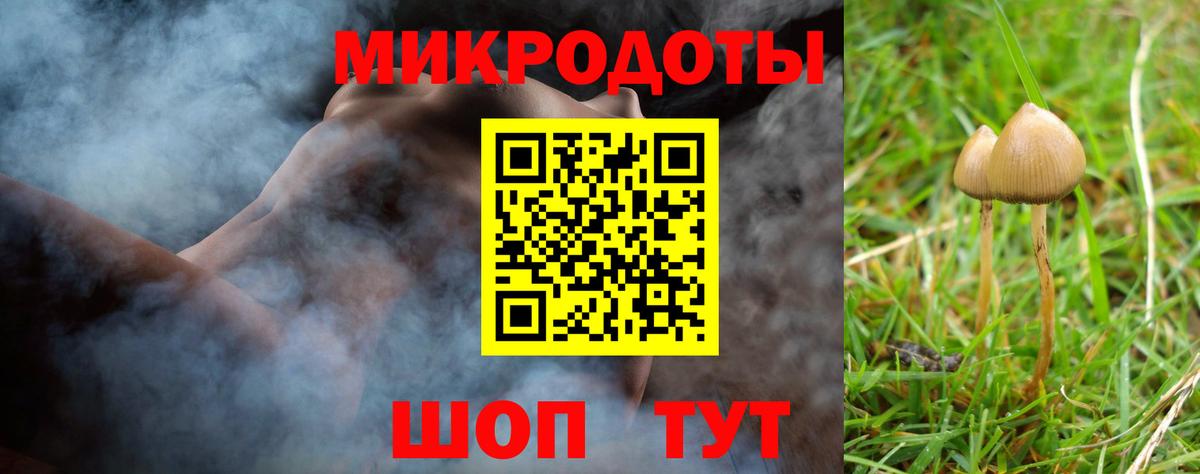 Галлюциногенные грибы прущие грибы Горно-Алтайск